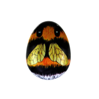 Щітка для легкого розчісування жіноча Kent Pebble Bee Щітка для легкого розчісування жіноча Kent Pebble Bee