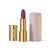 Помада для губ ARGAN OIL SATIN LIPSTICK PAESE (4,3g) - -54