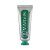 Зубна паста Marvis Classic Strong Mint 25 мл