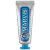 Зубна паста Marvis Aquatic Mint 25 мл